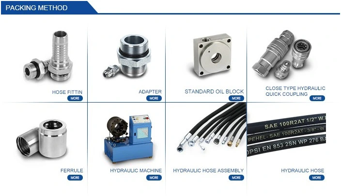 Steel Bsp Hydraulic Male Adapter (P4B)